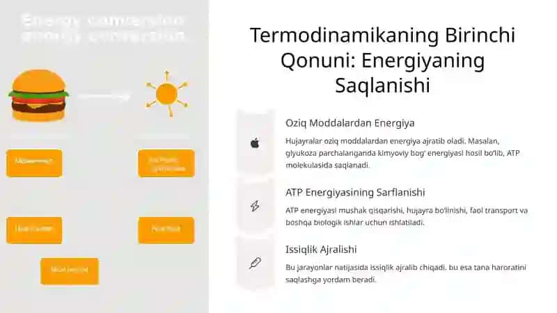 Tirik Organizmda Termodinamika va Termografiya 3