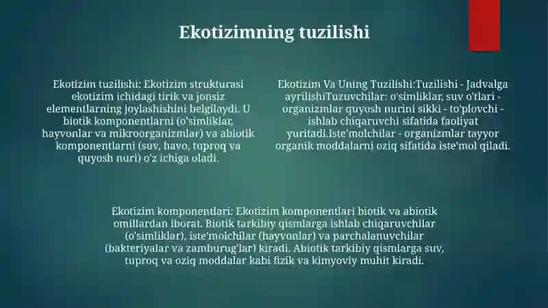 Ekotizim Va Uning Tuzilishi 3