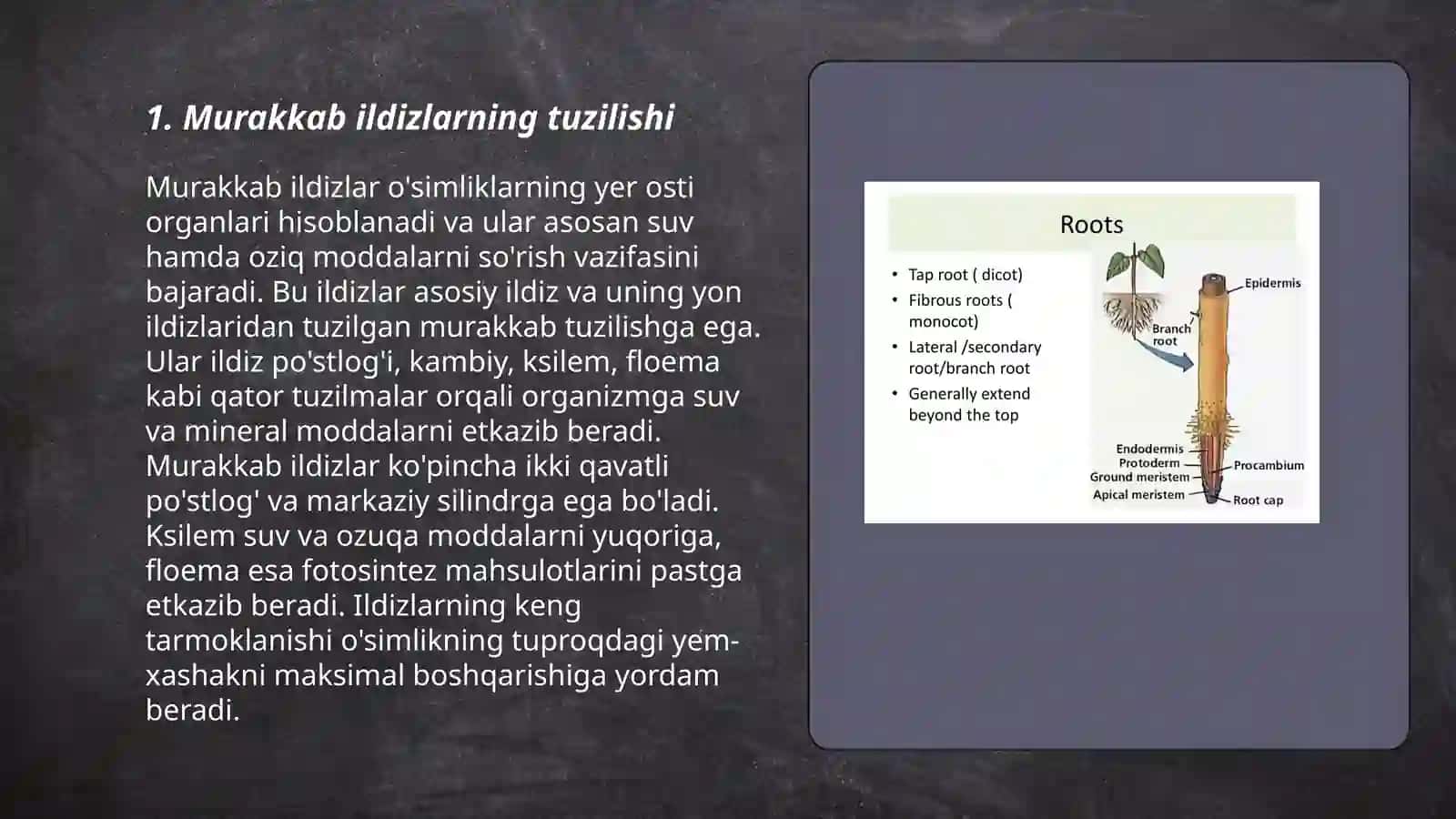 Murakkab ildizlar 3