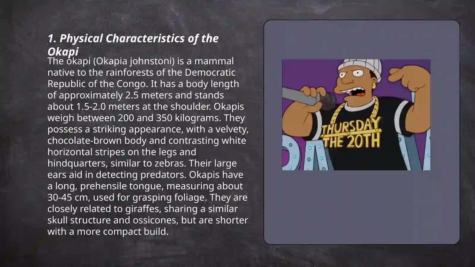 Physical Characteristics of the Okapi 3