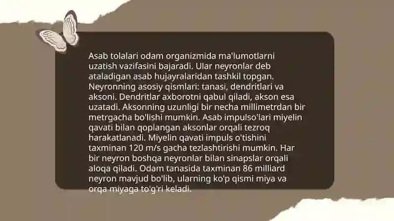 Asab tolalari sinapslarning xossalari 3