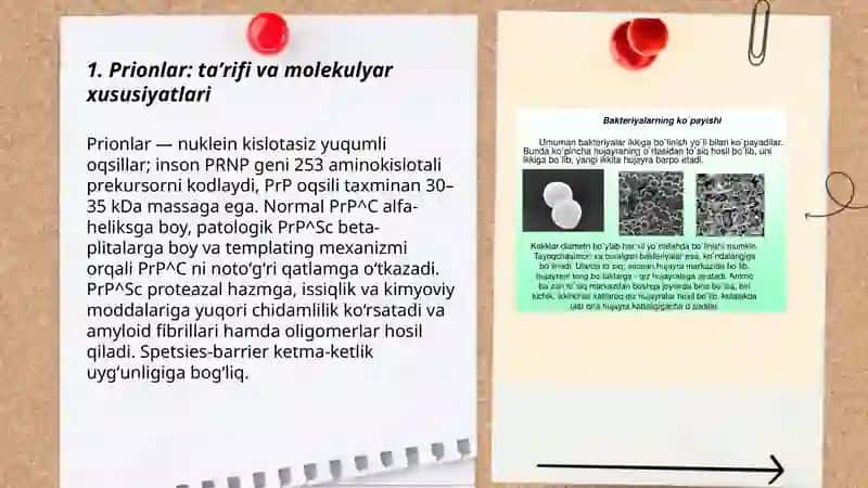 Prionlar: taʼrifi va molekulyar xususiyatlari 3