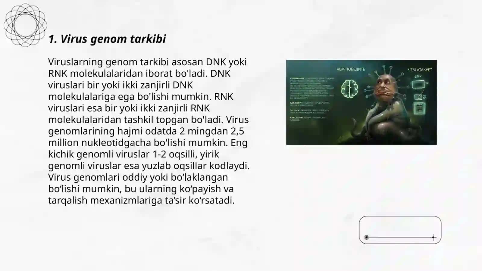 Virus genomlarining replikatsiyasi va transkripsiyasi 3