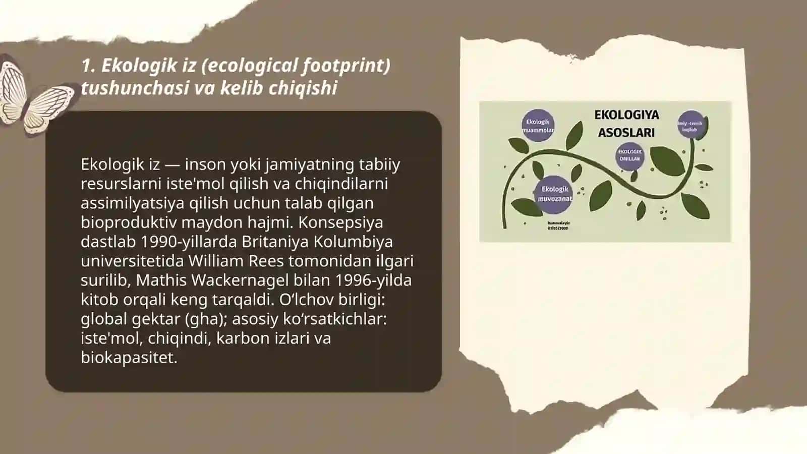 Ekologik iz konsepsiyasi 3