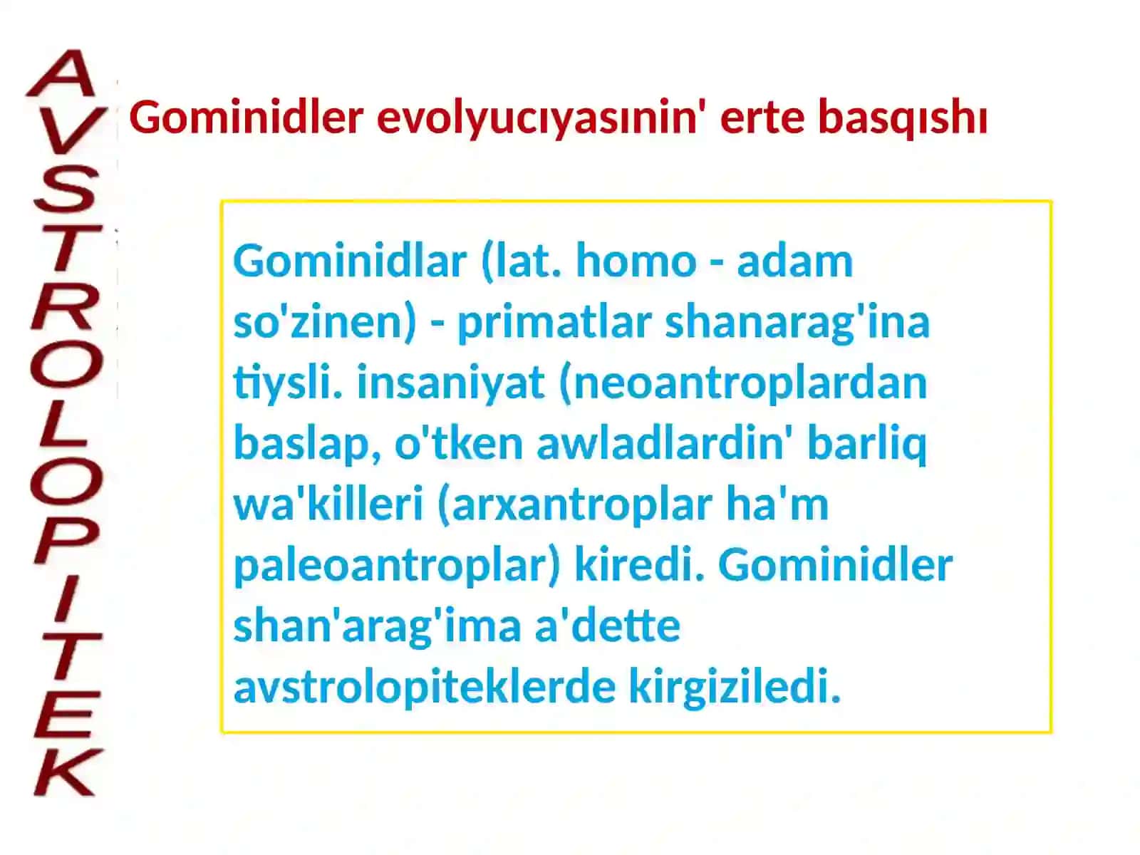 Avstrolopitekler Haqida Tushinik 3