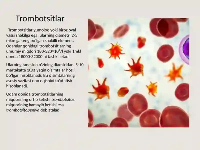 Trombotsitlar. Qon guruhlari. Rezus omillar. Fiziologiya. 3