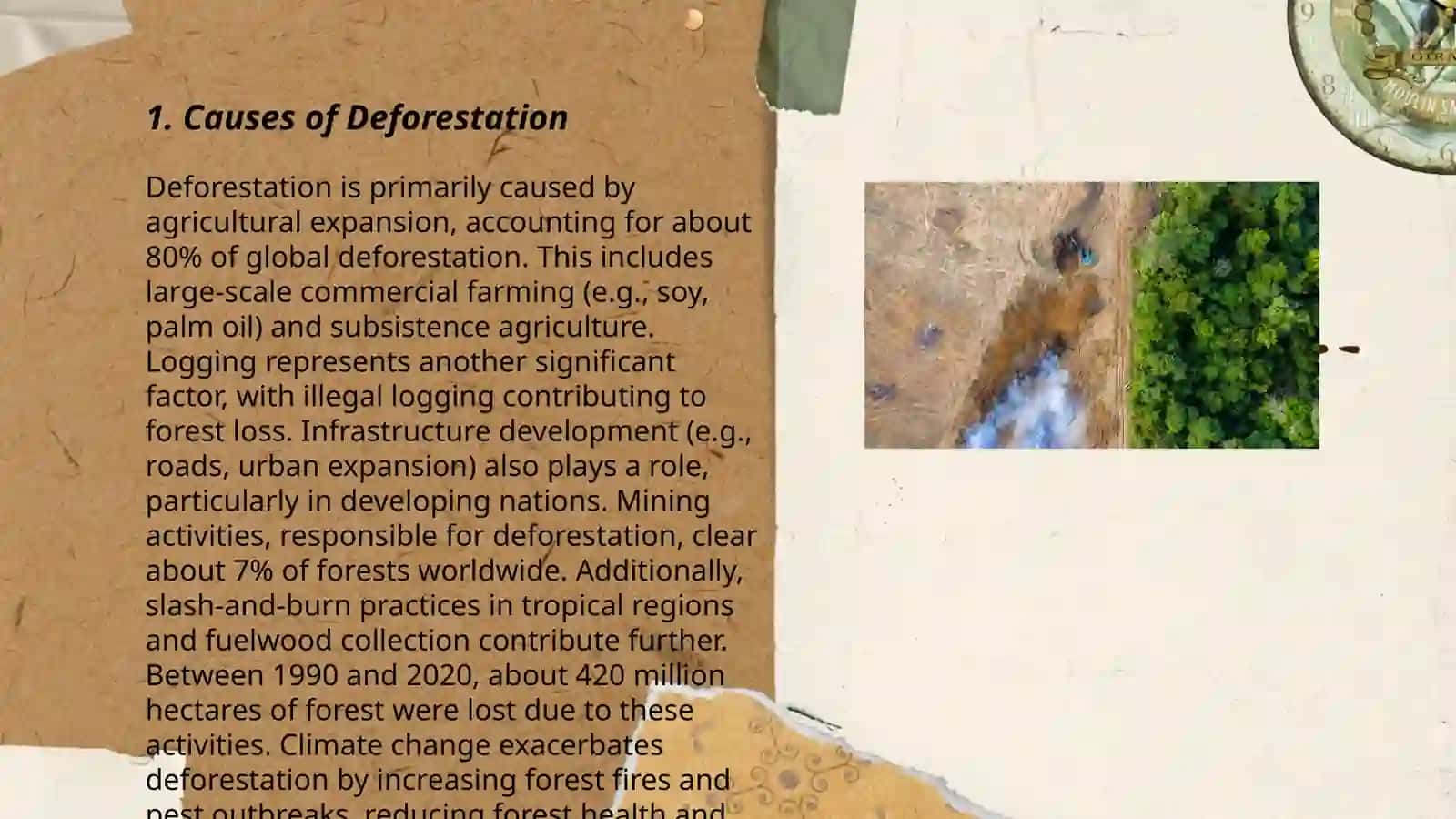 Deforestation 3