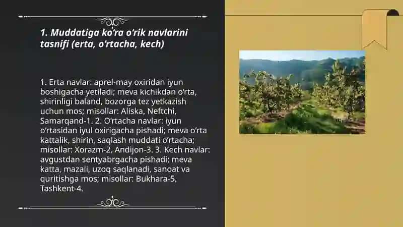 O'zbekistonda yetishtiriladigan o'rik navlariga tasnif 3