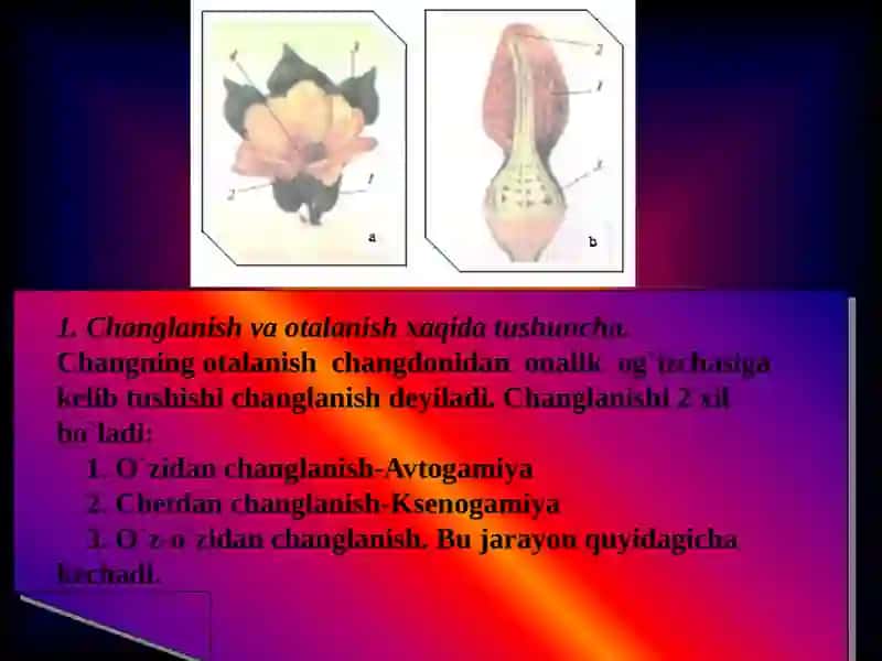 Changlanish xillari. Chetdan va o’z-o’zidan changlanish 3