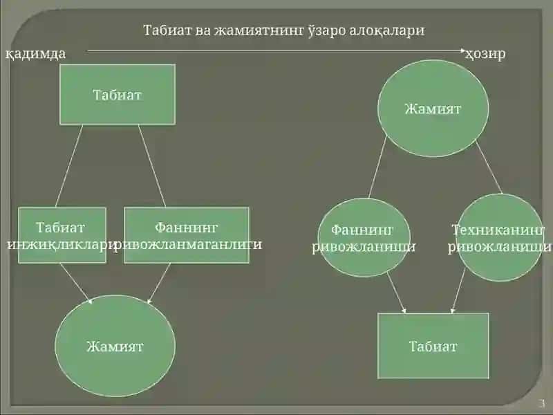 ТАБИАТ ФАЛСАФАСИ 3