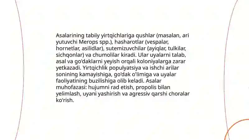 Asalari yirtqichlari 3