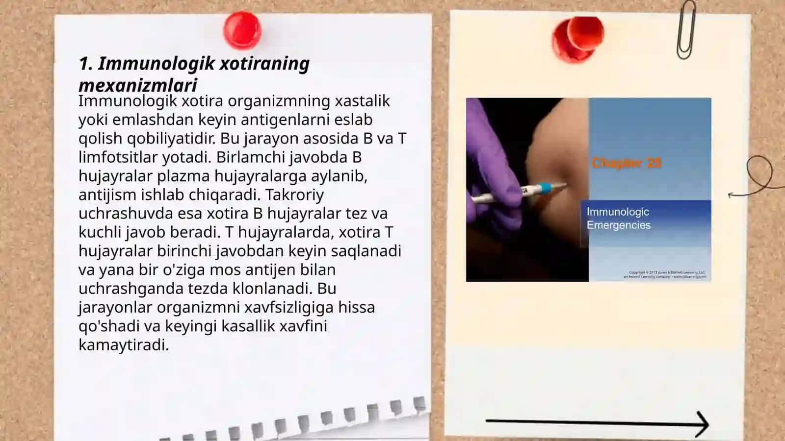 Immunologik xotira 3