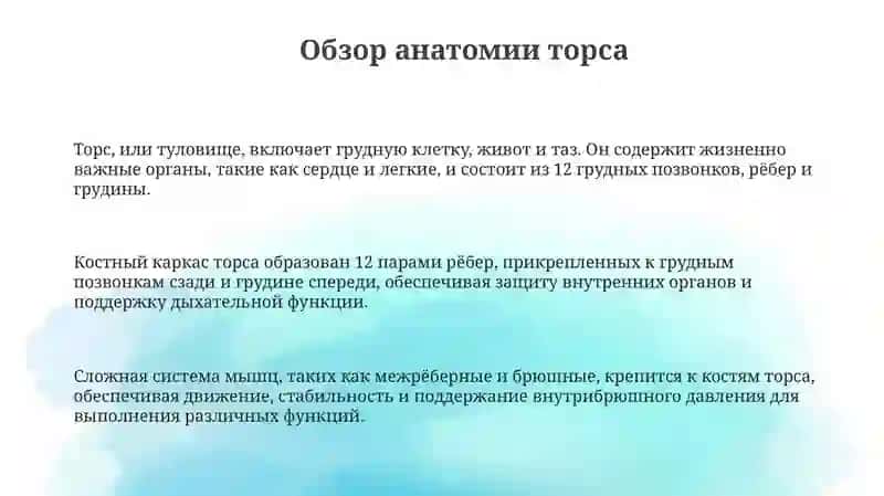 Скелеттуловища 3