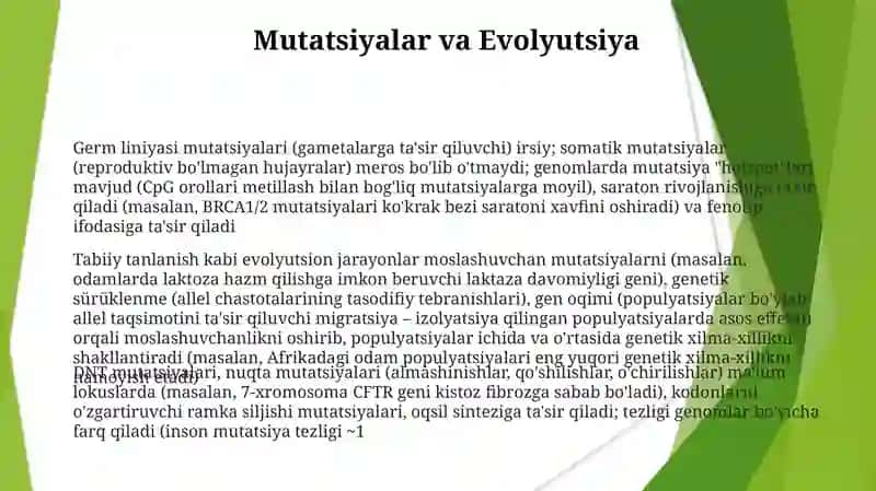 DNK mutatsiyasi 3