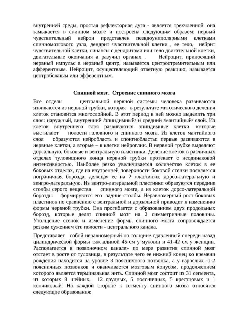 Центральнaя нервная система 3
