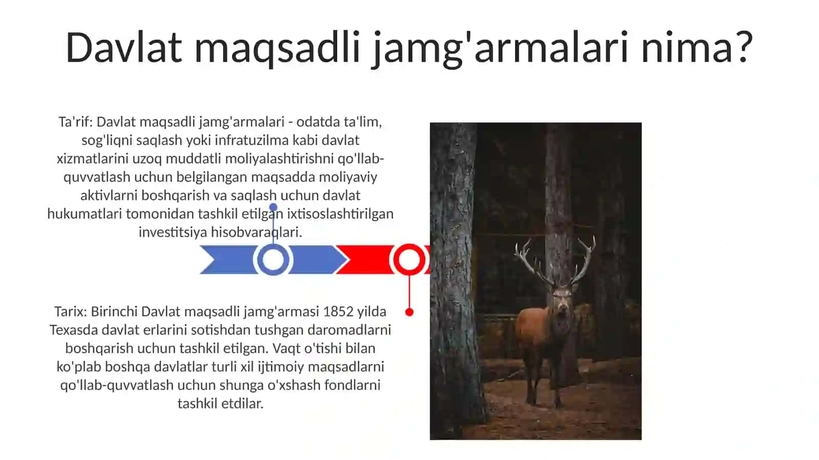 Davlat Maqsadli Jamgarmalari 3