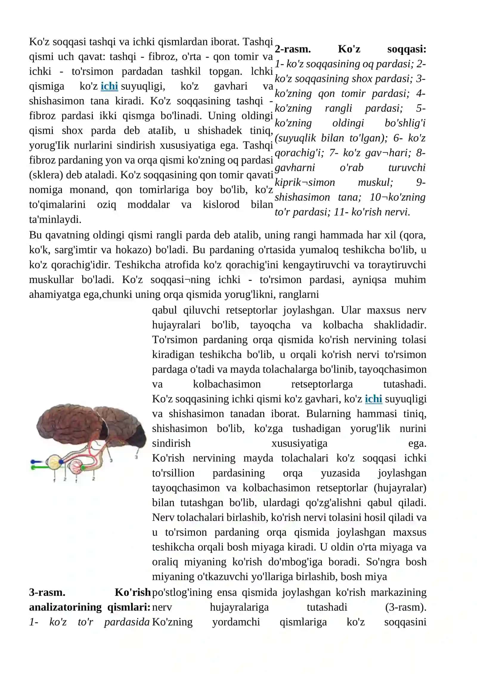 Sezgi a'zolarining ahamiyati 3