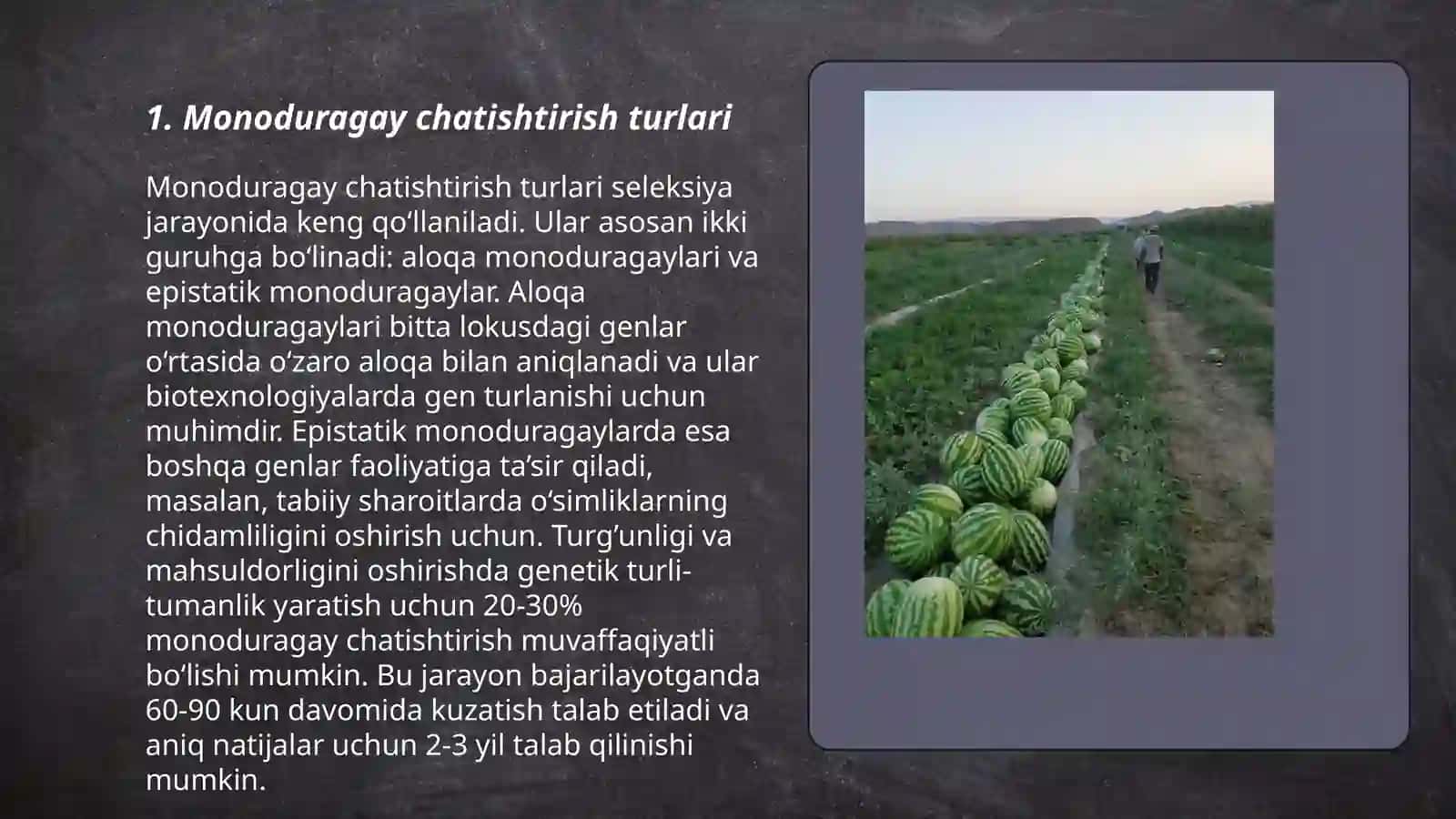 Monoduragay Chatishtirish 3