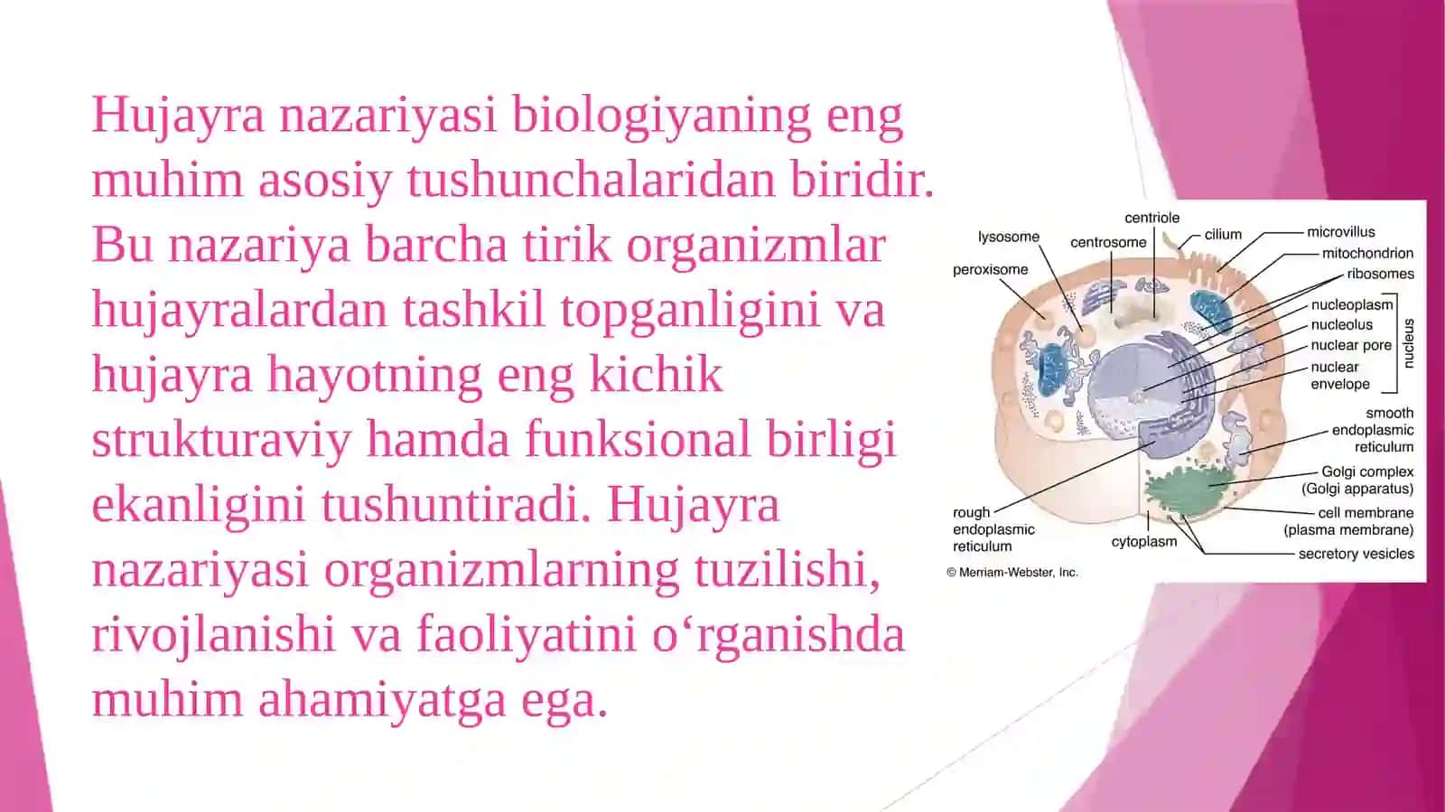 Farmatsevtikata’limvatadqiqotinstituti 3