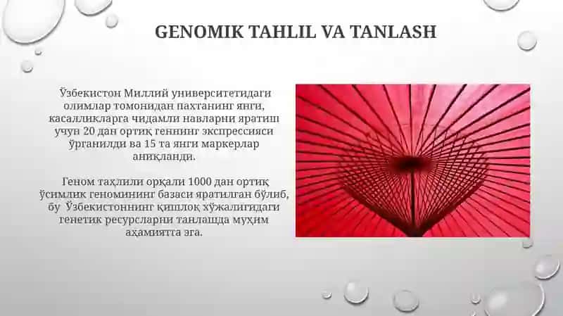 Biotexnologik obyektlarni tanlash 3