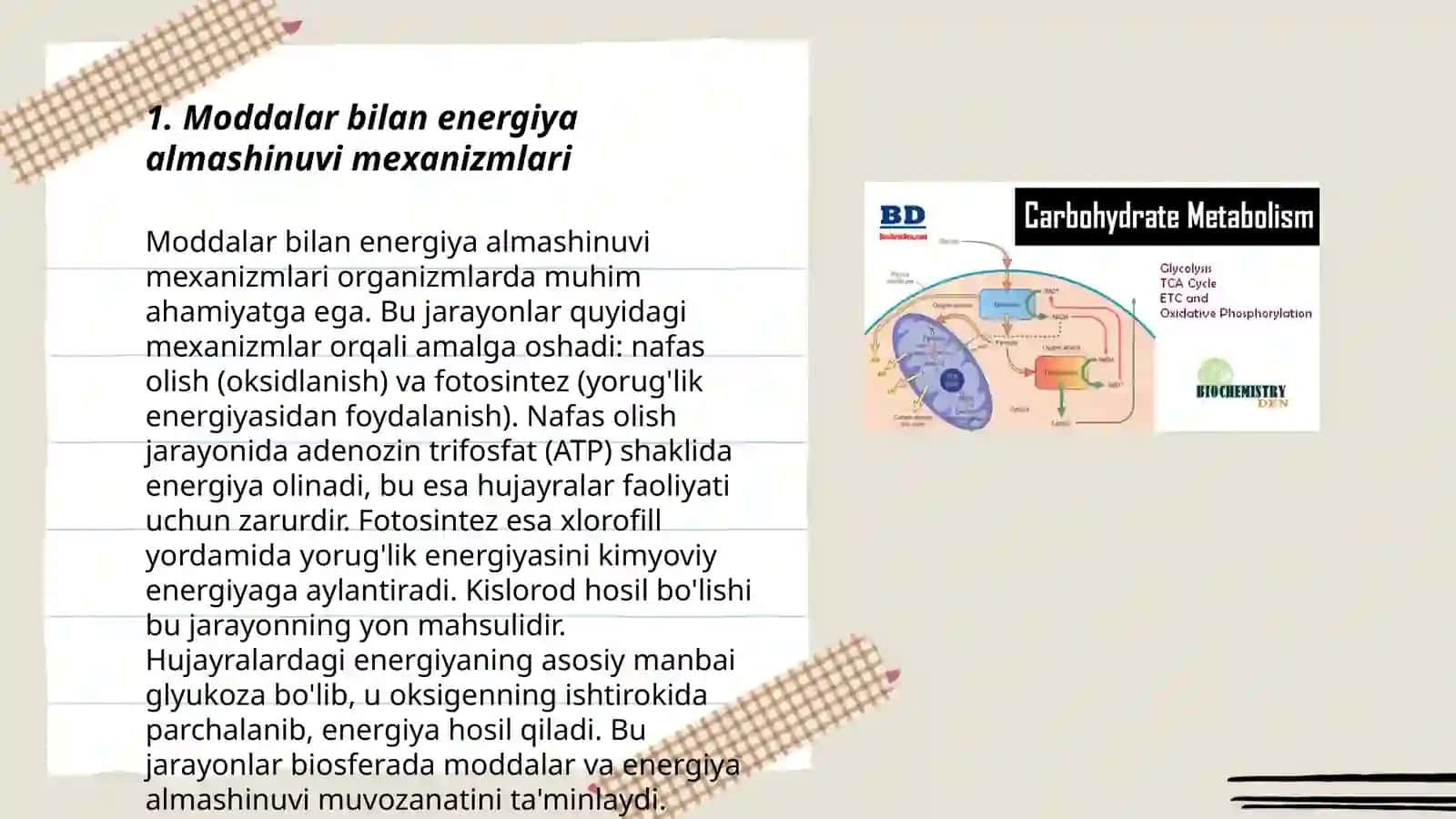 Moddalar va energiya almashinuvi 3