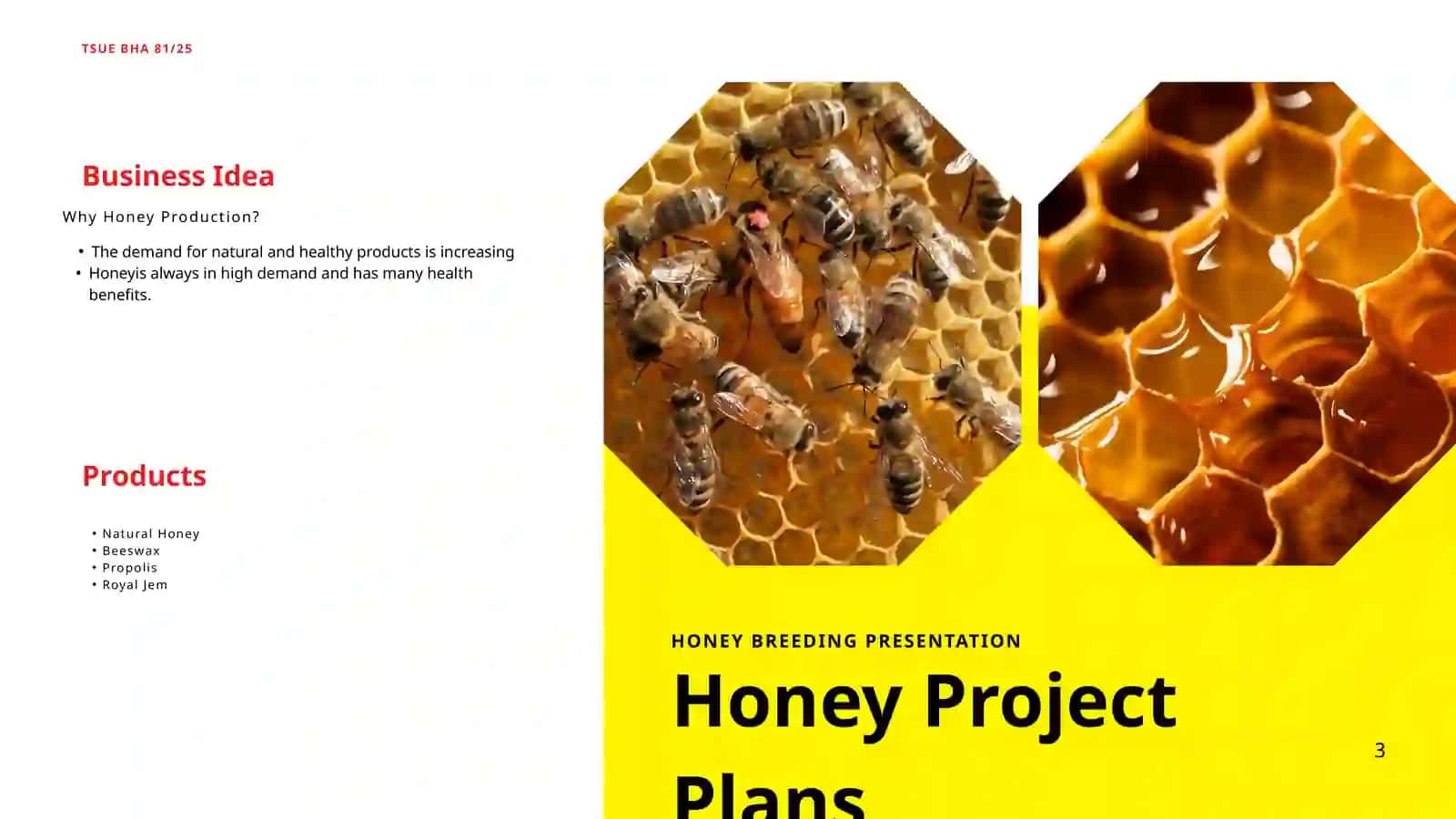 HONEY PRODUCTION BUSINESS PLAN 3