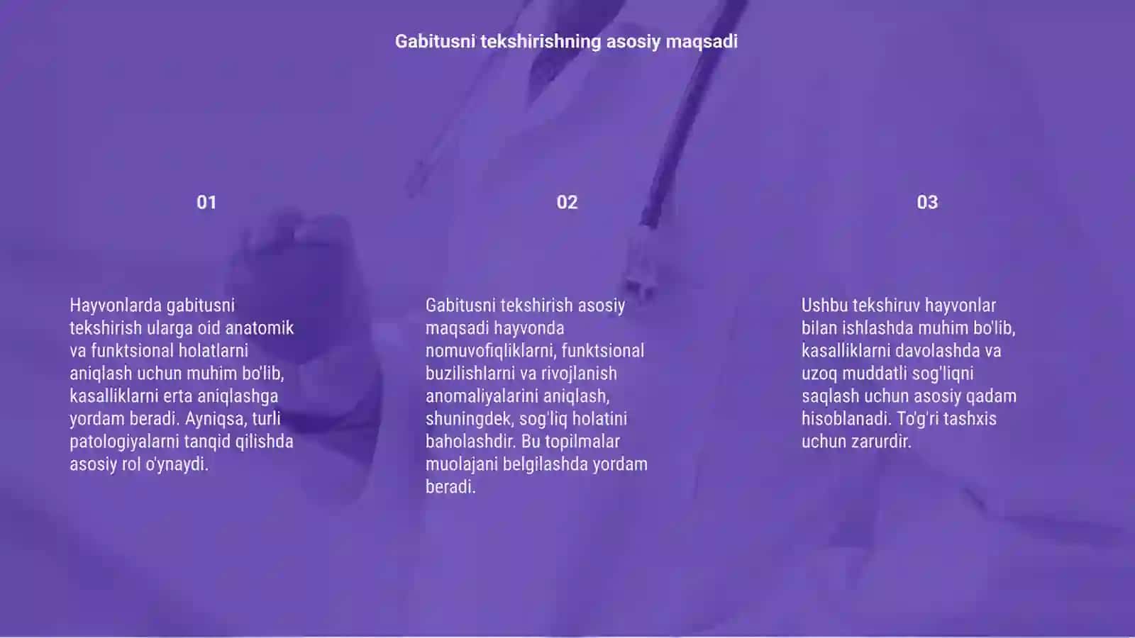 Hayvonlarda Gabitusni tekshirish 3