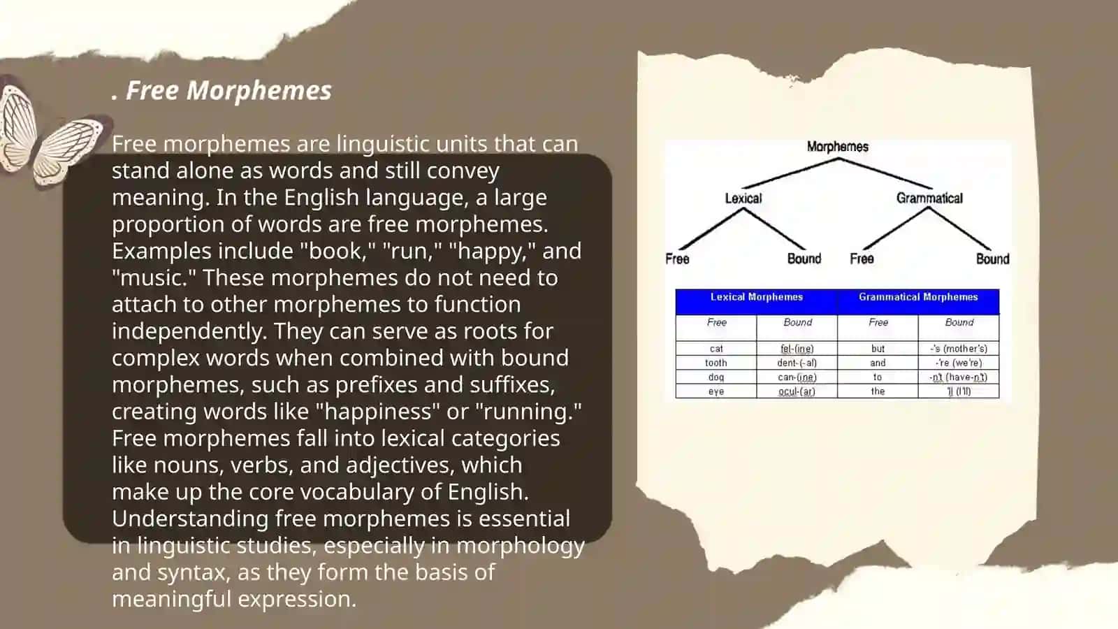 Morphemes. Types of morphemes 3
