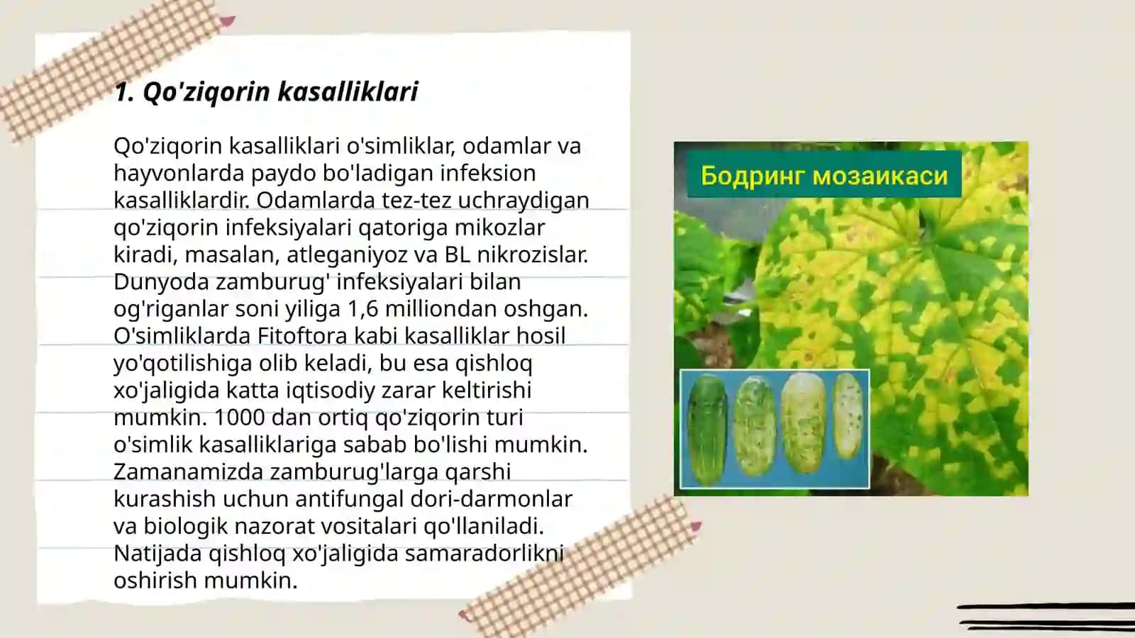 Qo'ziqorin kasalliklari 3