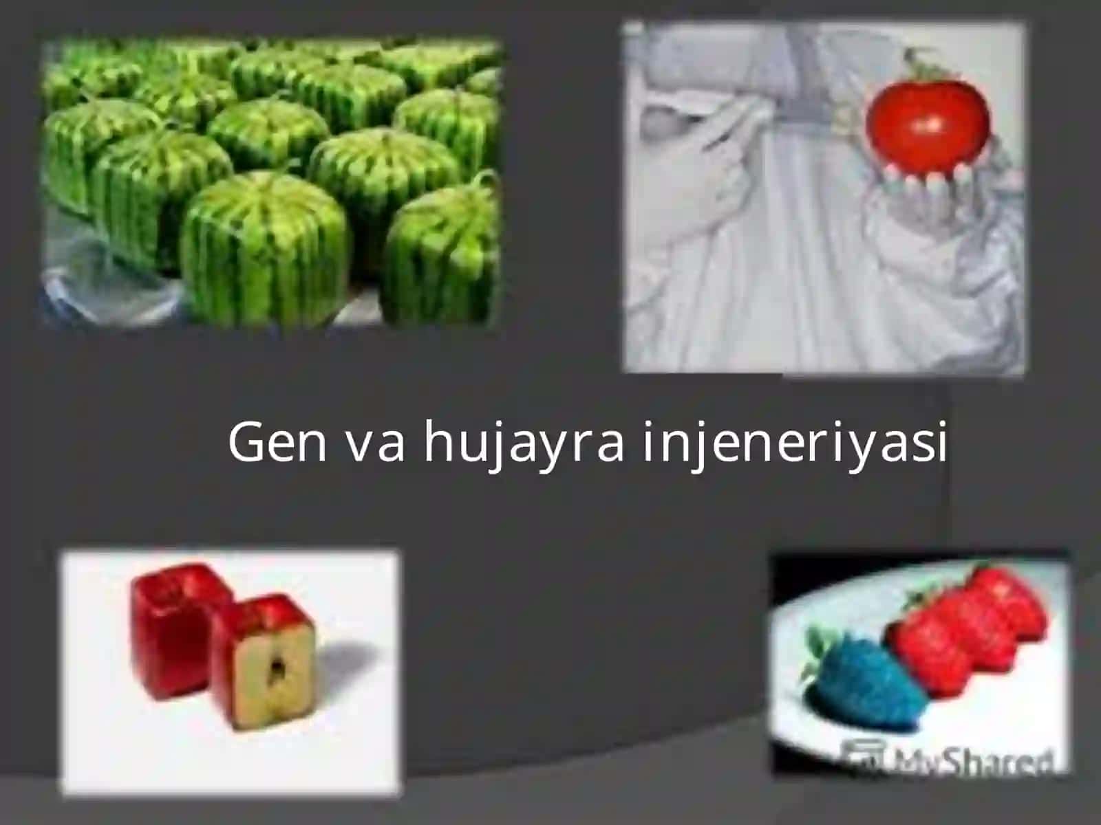 BIOTEXNOLOGIYADA GEN INJENERLIGI 3