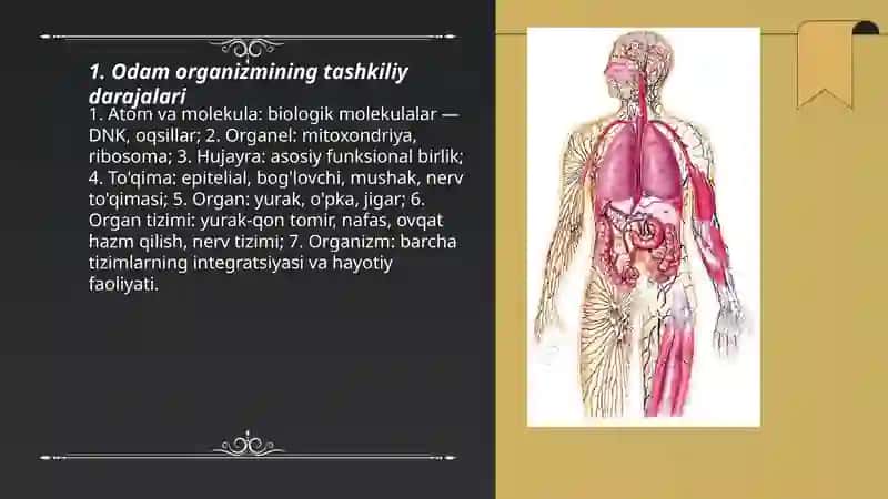 Odamlar organizmining tuzulishi 3