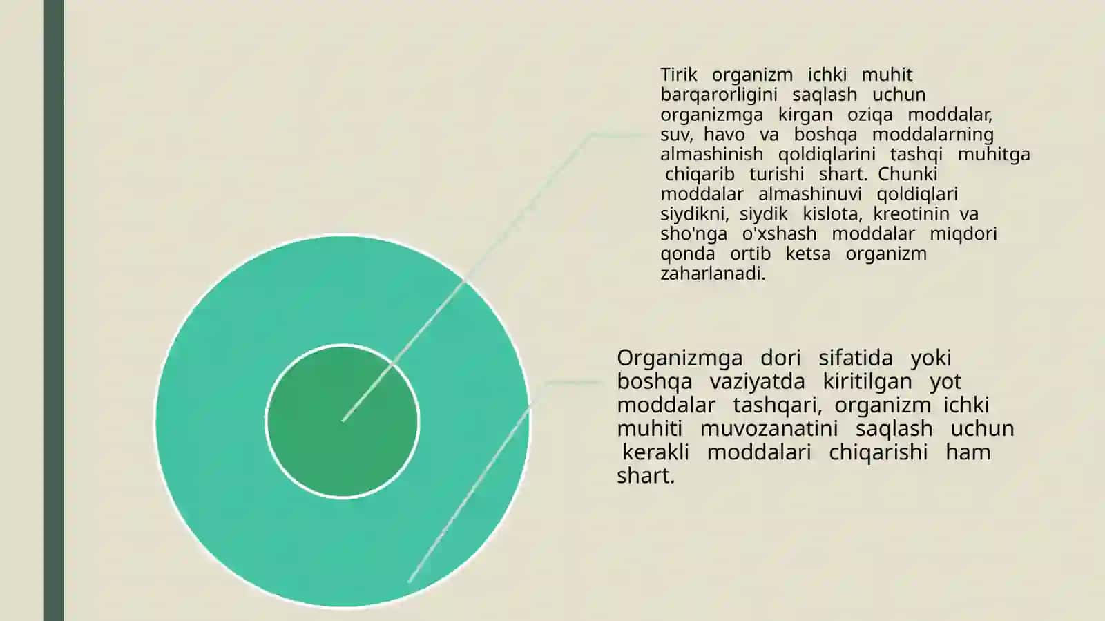 Ayiruvorganlari 3