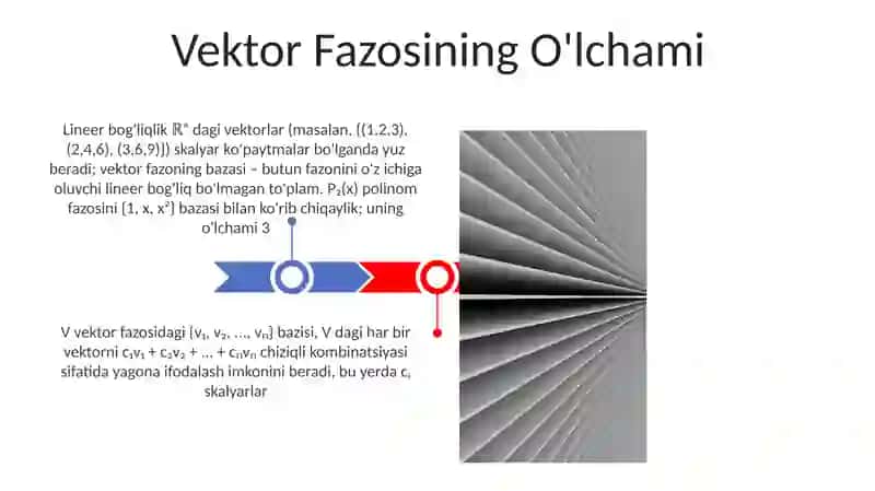 Vektor Fazosining O'lchami 3