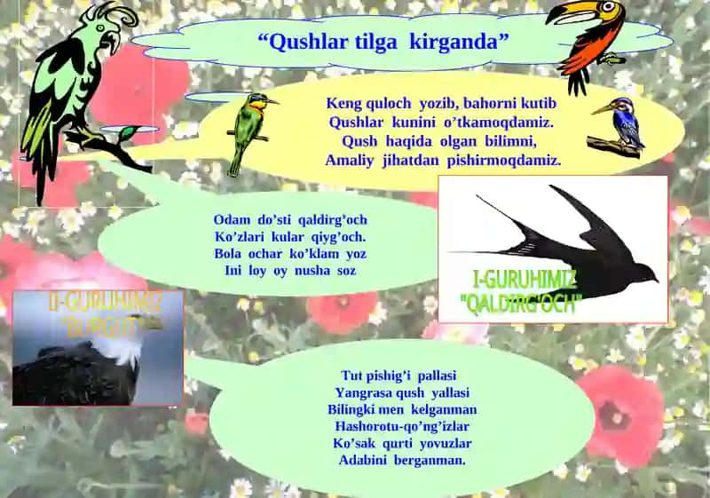 Qushlarning mavsumiy hodisalarga moslashishi 3