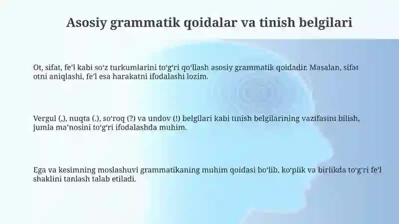 Grammarpractisefor professionalwritng 3