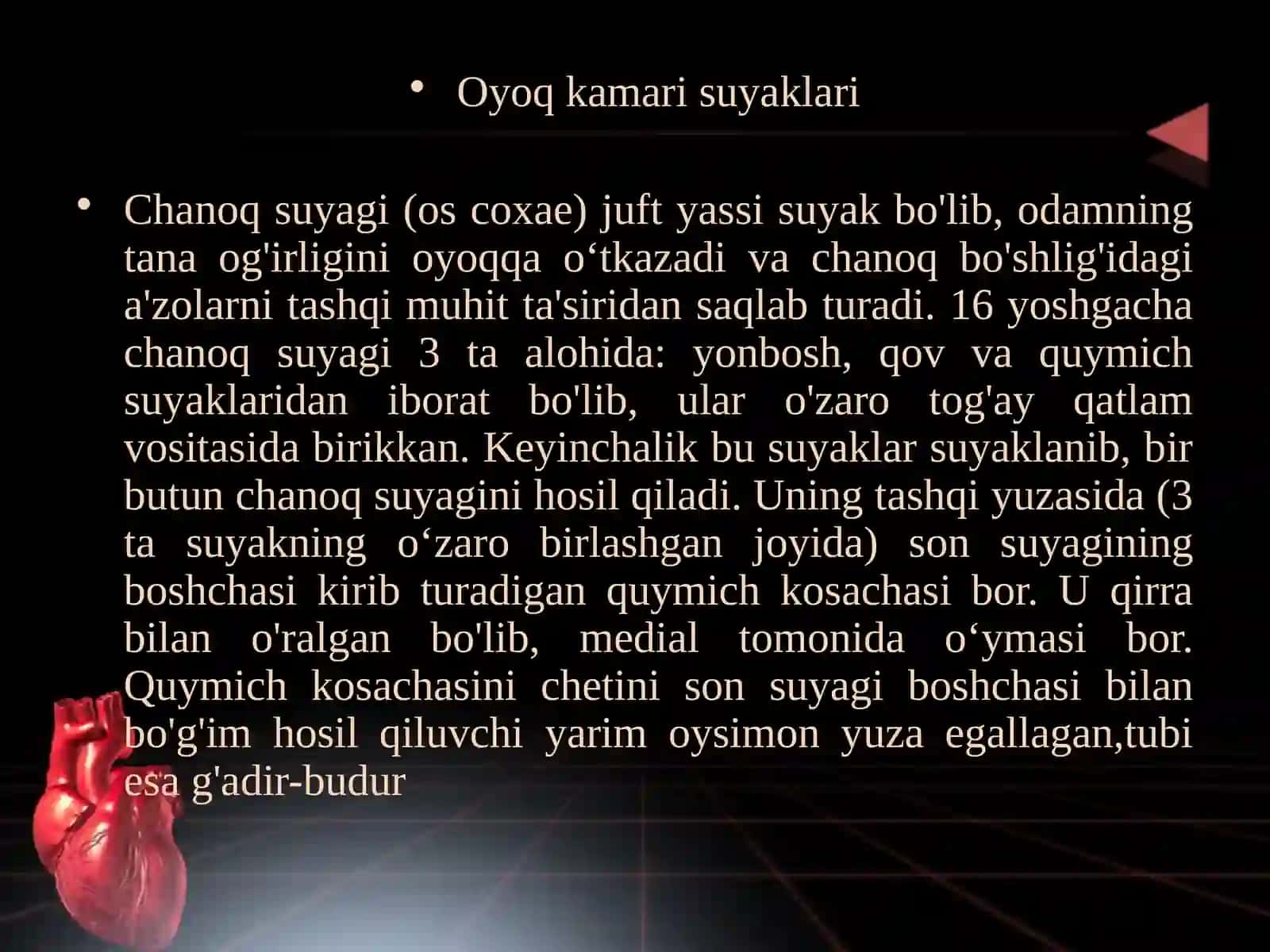 Osteologiya - tayanch harakat tizimi.  Oyoq suyaklari va qismlari 3