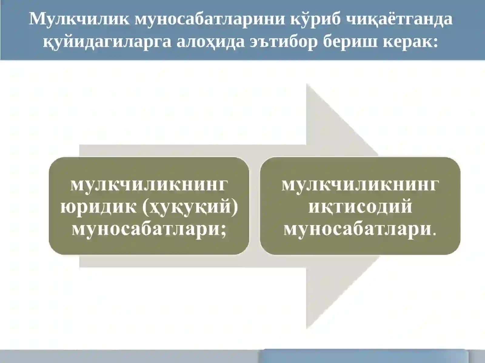 КЎЧМАС МУЛК БОЗОРИДА МУЛКЧИЛИК 3