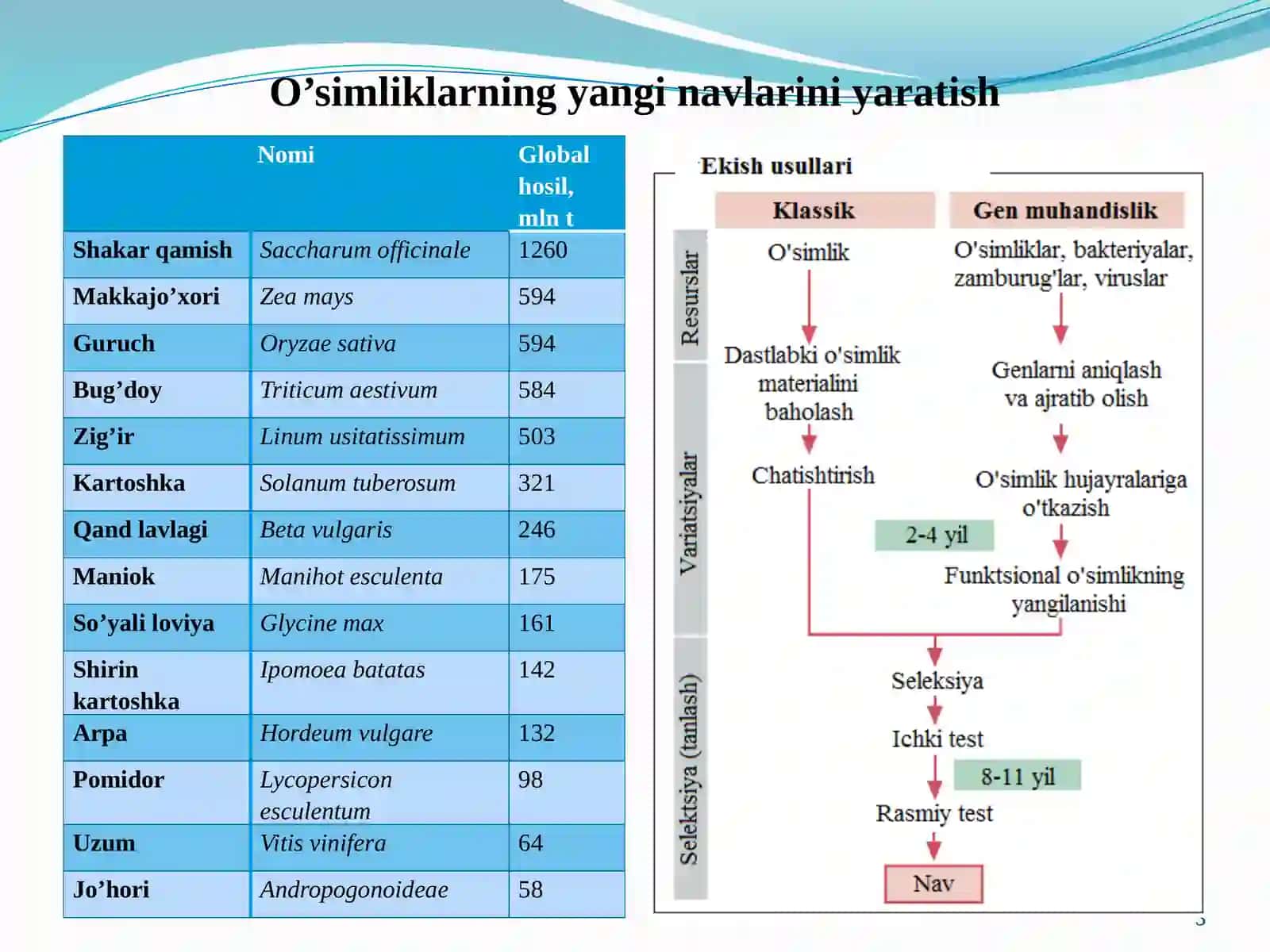 O’simliklarda gen muhandisligi 3