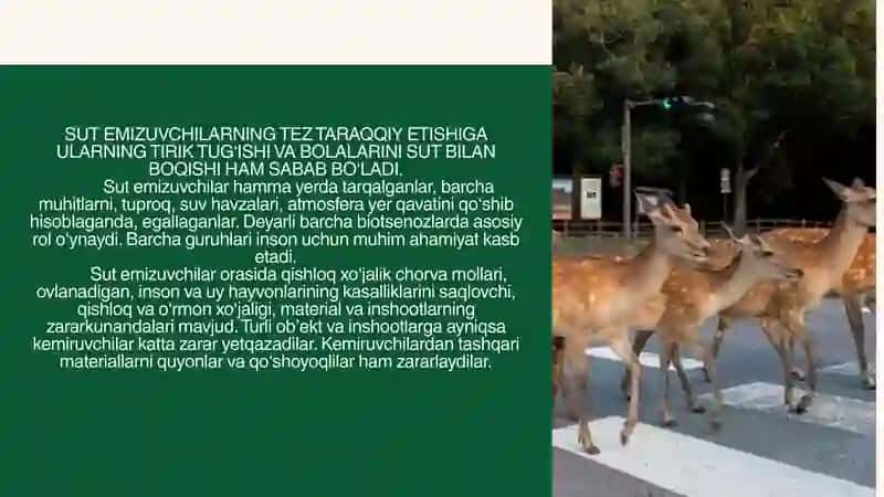 SUTEMIZUVCHILAR - BIOZARARLANISH MANBALARI 3