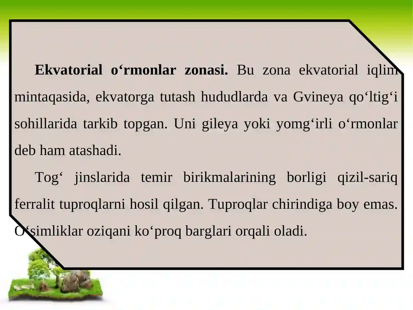 Ekvatorial o‘rmonlar va savannalar 3