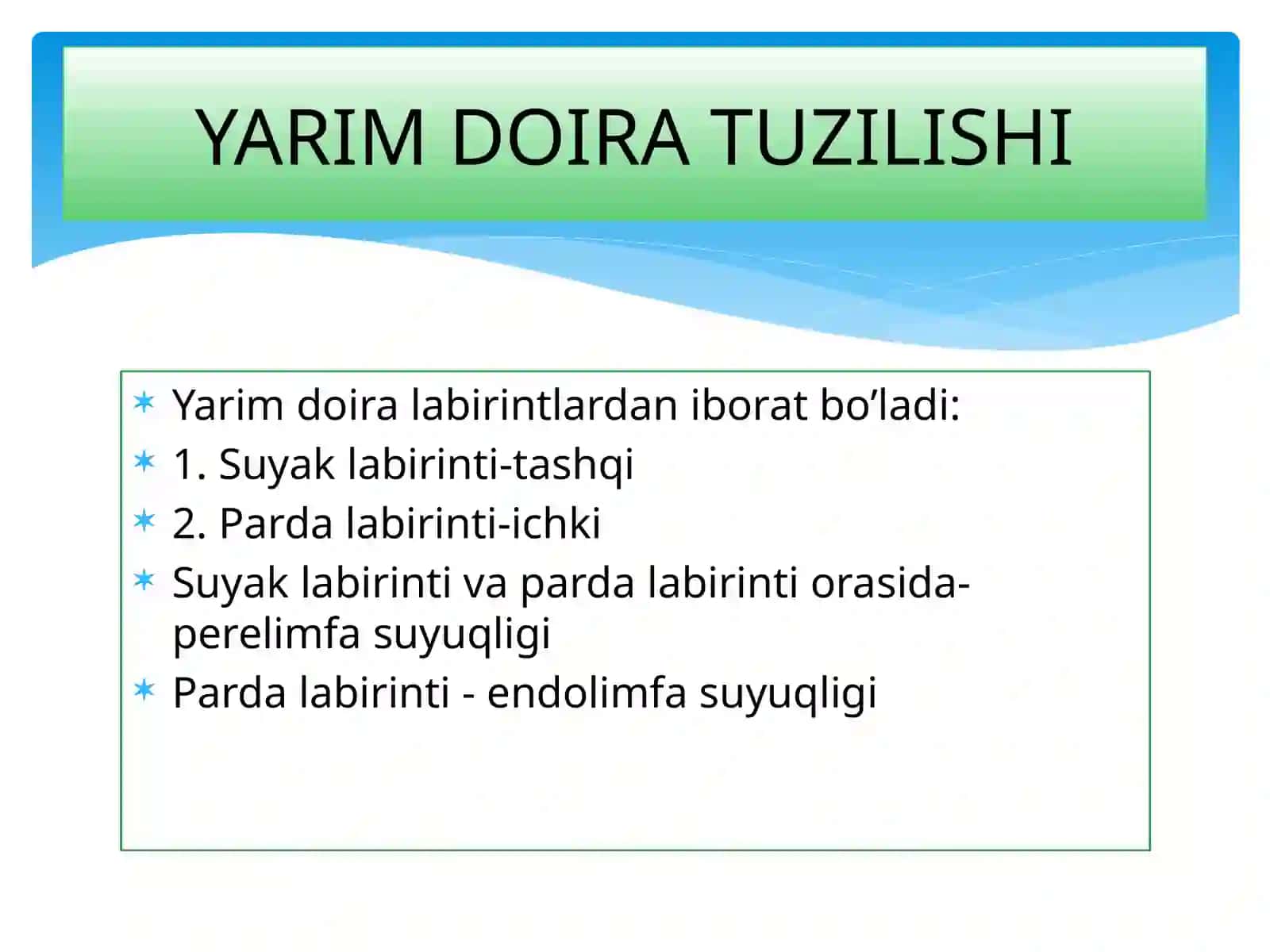 SEZGI ORGANLARI ANALIZATORLAR 3