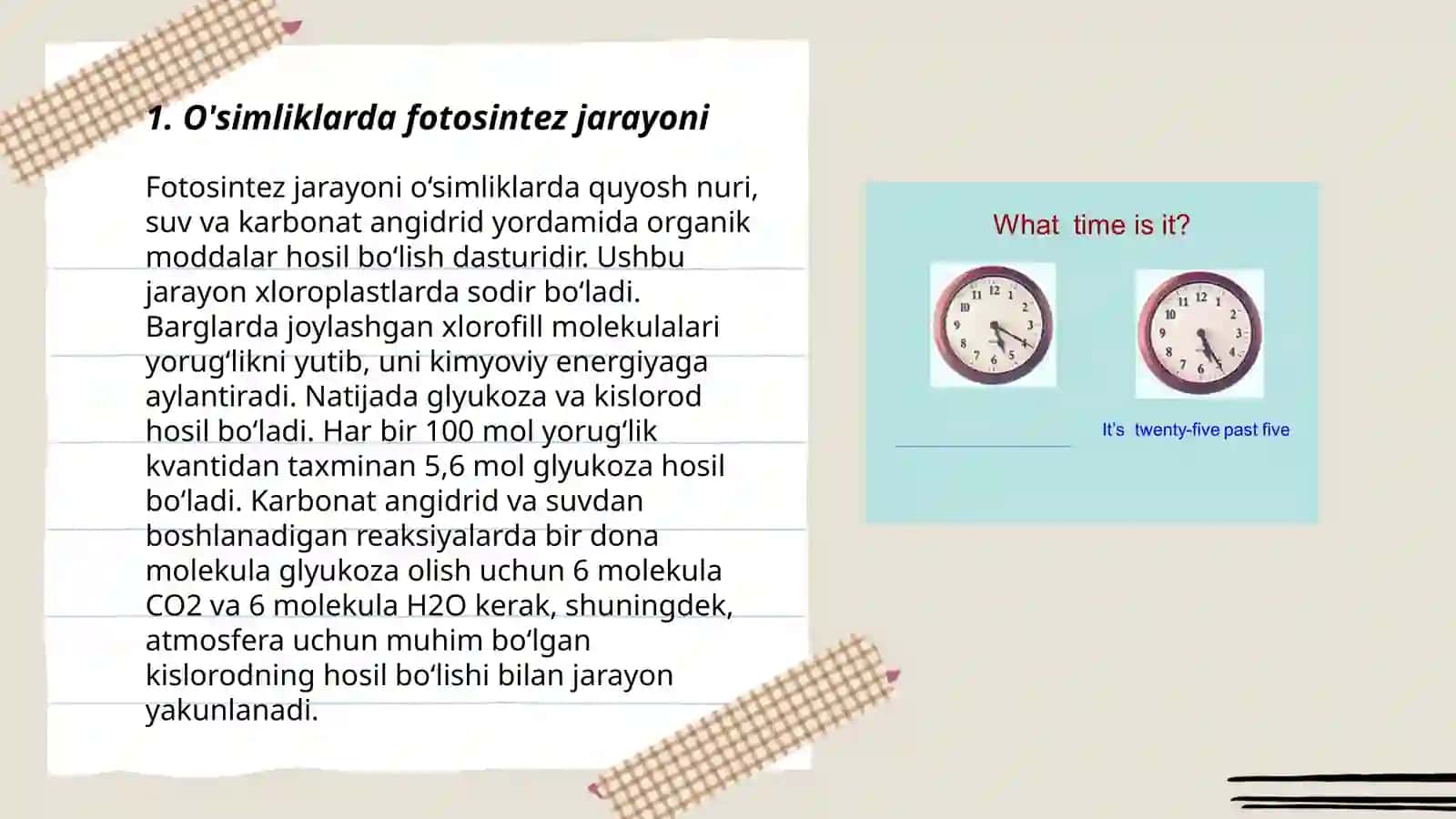 O'simliklarga yorug'lik tasirini o'rganish 3