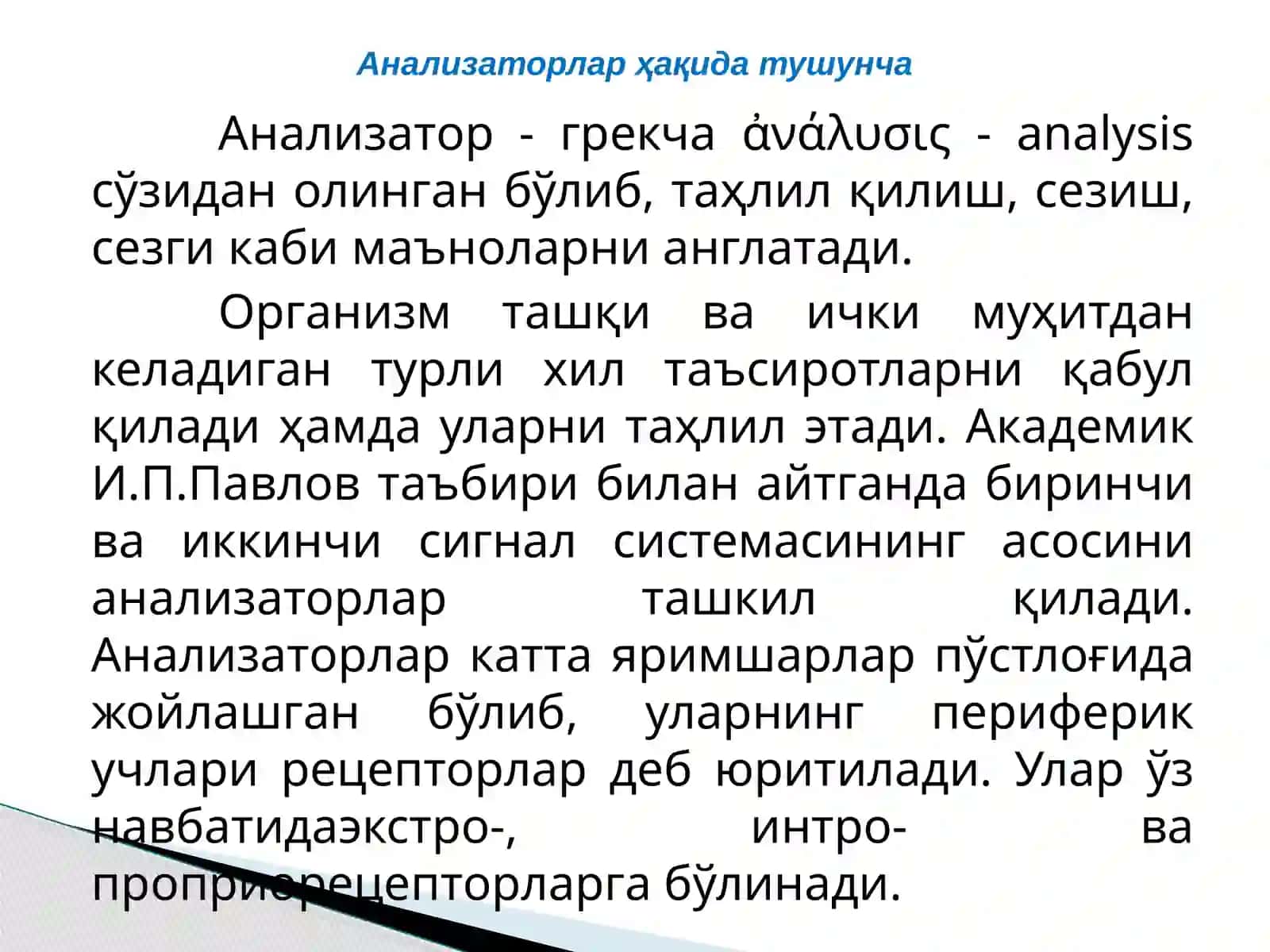 Анализаторларнинг тузилши ва аҳамияти 3