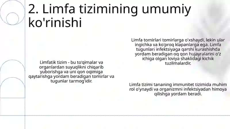 Limfa Sistemasi Anatomiyasi 3