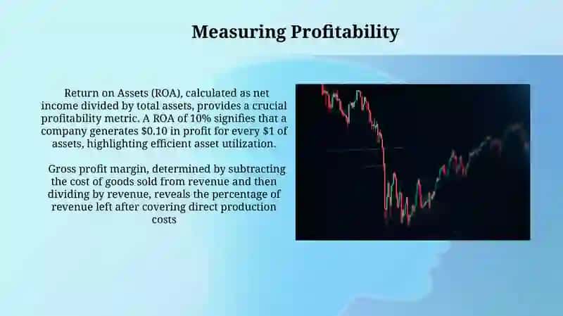 Profit and Loss in Economics 3