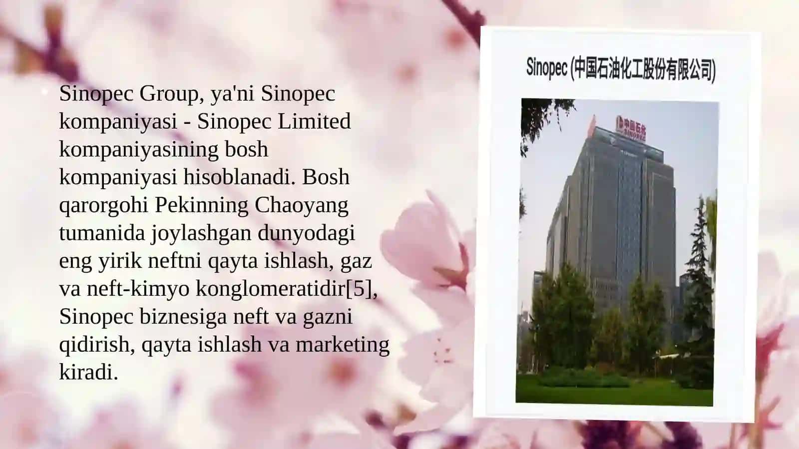 Sinopec Group 3