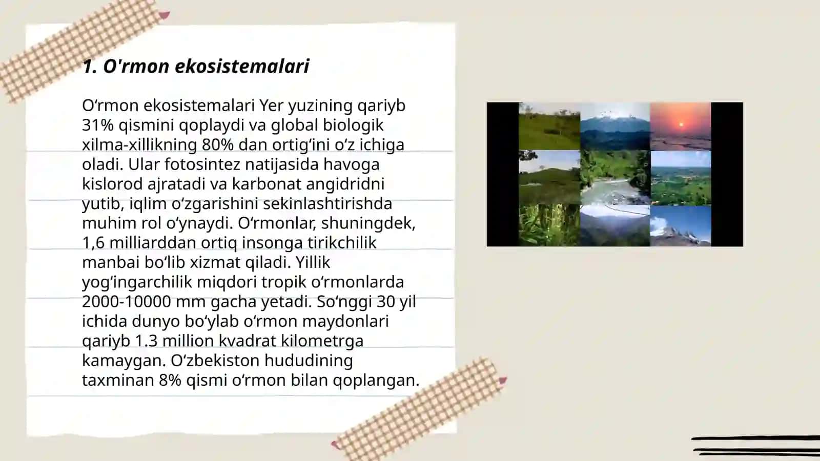O'rmon ekosistemalari 3