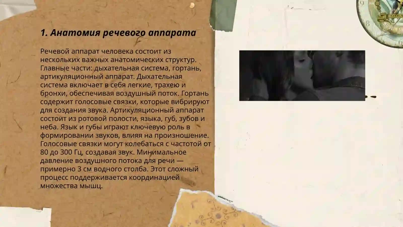 Устройство и функции речевого аппарата 3