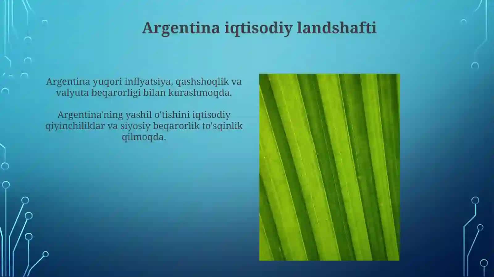 Argentina Yashiliqtisodiyotgao’tish 3