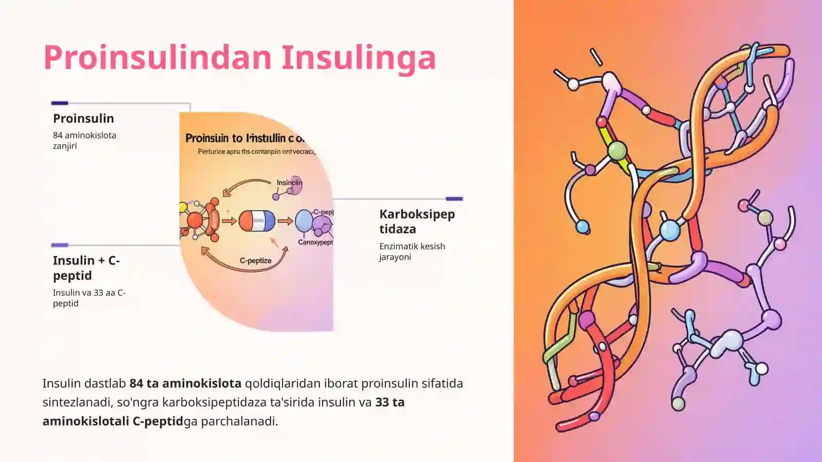 Insulin Ishlab Chiqarish Texnologiyasi 3